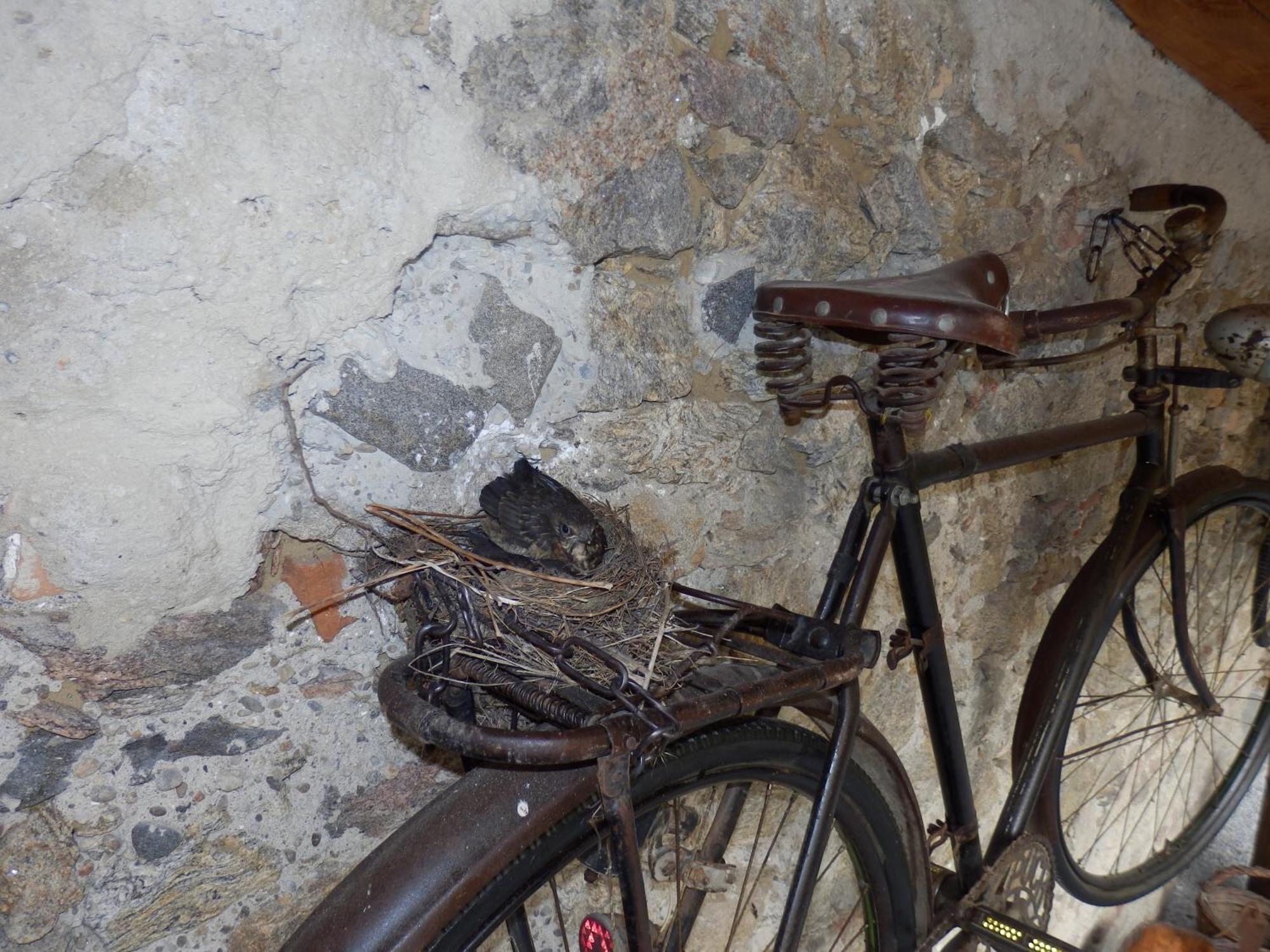 Heritage Duernstein Luaran gambar